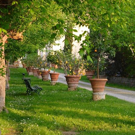 Ginestra Appartement Poggibonsi Buitenkant foto