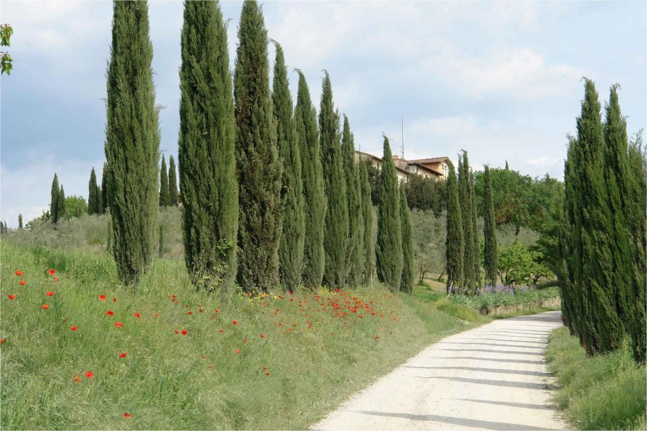 Ginestra Appartement Poggibonsi Buitenkant foto